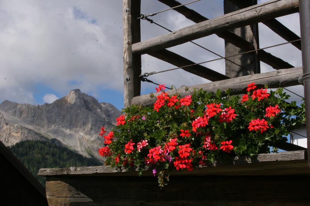 Albergo Diffuso Sauris In Sauris Di Sopra Εξωτερικό φωτογραφία